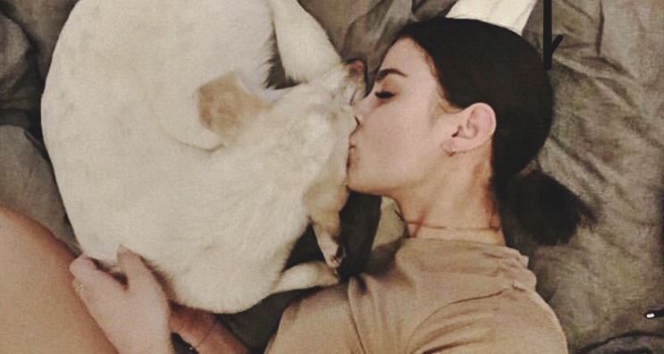 Neue Lena Meyer Landrut und Hund Kiwi kuscheln - Balu From ...